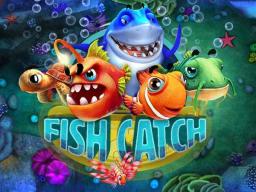 Fish Catch Review